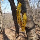 덕솔이네 이미지