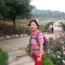 도담공원 이미지