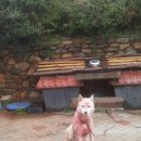 재호농장 이미지