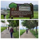 평화누리자전거길 6코스 이미지