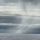 꿈꾸는 헤밍웨이 이미지