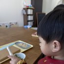 솔과황토 | 26개월 찬율이랑 오감놀이 🧸 솔포레스트 다녀온 현실 육아 후기