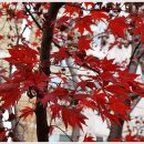 나들이펜션A 이미지