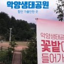 흥부네토종한방순대 네이버블로그