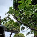 구불6-1길(탁류길) 이미지