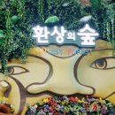 맘편한한의원 이미지