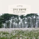 9월 27일.보랏빛 꽃 &amp; 별 아스타국화.구절초 축제장 거창 감악산으로... 이미지