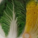 베타고랩스(주) 네이버블로그