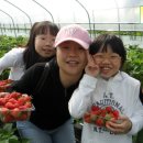 세진목장 이미지