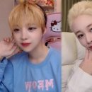 헤어포스 이미지
