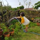 서림민박