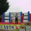 영동초교 이미지