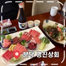 (주)명진 | [정자역참치] 분당 참치회 맛집, 가성비 참치집 추천- &#39;명진상회&#39;