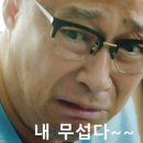 와이즈WISE 이미지