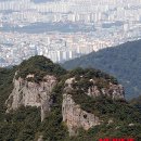 무등산버섯 이미지