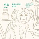 미츠 네이버블로그