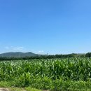 스테이 모인 이미지