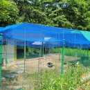 꼬꼬닭집 이미지