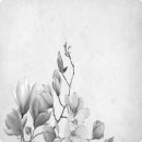 트렌드디자인