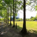 한라대학교 테니스장