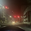 천성 | 가덕도 천성좌대 출조후기