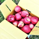 정명호농장 이미지