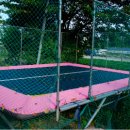 청화오리 이미지