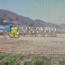 과수원모텔 Daum카페