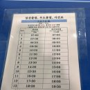 제주트윈즈 | 우도 배시간 및 우도 전기차 대여 꿀팁 코코나라 찐솔직후기