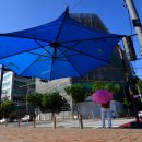 그늘막26 이미지