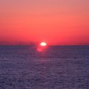 태양을향하여 이미지