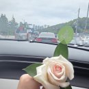 잇슈 | [수원 과일바구니] 인계동 '과일잇슈' 프리미엄 시그니처 백 솔직 후기 🍉🍑