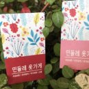 민들레여성복