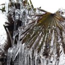 종근농장 이미지