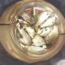 통삼낚시터 이미지