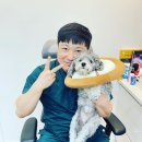 은빛동물병원 이미지