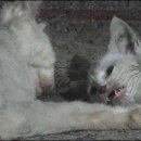 이현진농장 이미지