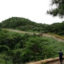청주남주동해장국식당 네이버블로그