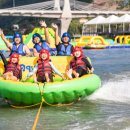 자이언트포레스트 이미지