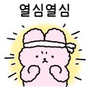 핸즈온버드 - 마포구 토정로3길 9 | 핸즈온버드