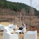 빌라트B 이미지