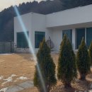 머스트화이트1동 네이버블로그