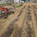 병조농장 이미지