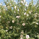 주촌센텀한의원 이미지