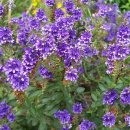 인체 - 리듬 이미지