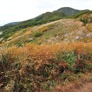 덕산계곡진입로 이미지