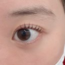 현진약품 | 양산 증산 속눈썹펌 추천 | 조아랑네일 후기