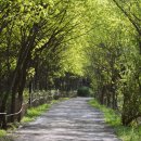 우포늪주차장 이미지