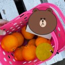 트멍커피