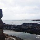 온평리-11 이미지